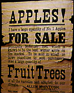 An 1896 advertisement in Olive McIntosh's possession