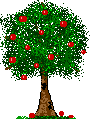 APPLE TREE
