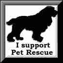 rescue a pet