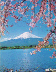El monte Fuji enmarcado en cerezos