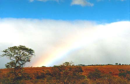 Have a colorful day - just like this rainbow!