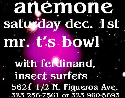 anemone december 1st at Mr. T's Bowl