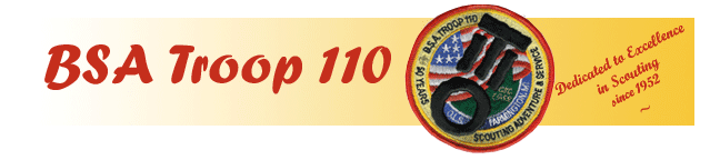 Welcome to Troop 110's Web Site!