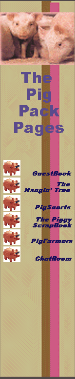 The PiggyLinks