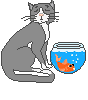 A Cat and Fish Bowl