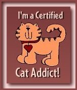 Click to find out if you are a Cat Addict