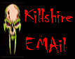 killmailsm.gif (16788 bytes)