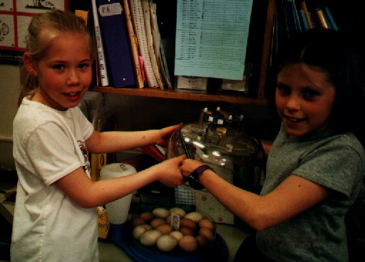 Students Turning Eggs