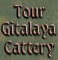 Tour Gitalaya