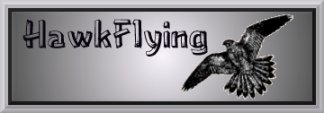 HawkFlying Banner