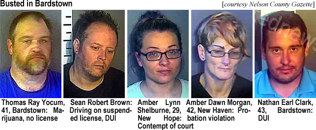 ambertwo.jpg Busted in Bardstown (Nelson County Gazette): Thomas Ray Yocum, 41, Bardstown, marijuana, no license; Sean Robert Brown, drving on suspended license, DUI; Amber Lynn Shelburne, 29, New Hope, contempt of court; Amber Dawn Morgan, 42, New Haven, probation violation; Nathan Earl Clark, 43, Bardstown, DUI