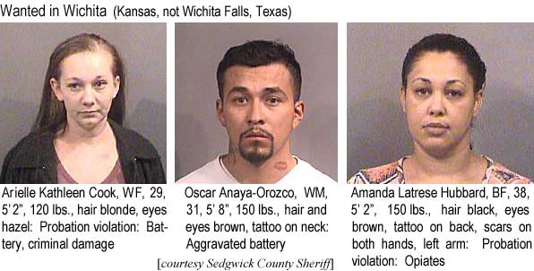 arielleo.jpg Wanted in Wichita (Kansas, not Wichita Falls, Texas): Arielle Kathleen Cook, WF, 29, 5'2", 120 lbs, hair blonde, eyes hazel, probation violation, battery, criminal damage; Oscar Anaya-Orozco, WM, 31, 5'8", 150 lbs, hair and eyes brown, tattoo on neck, aggravated battery; Amanda Latrese Hubbard, BF, 38, 5'2", 150 lbs, hair black, eyes brown, tattoo on back, scars on both hands, left arm, probation violation, opiates (Sedgwick County Sheriff)