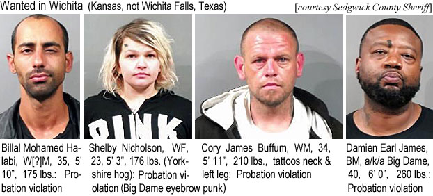 billalmo.jpg Wanted in Wichita (Kansas, not Wichita Falls, Kansas) (courtesy Sedgwick County Sheriff: Billal Mohamed Halabi, W[?]M, 35, 5'10", 175 lbs, probation violation; Shelby Nicholson, WF, 23, 5'3", 176 lbs (Yorkshire hog), probation violation (Big Dame eyebrow punck); Cory James Buffum, WM, 34, 5'11", 210 lbs, tattoos neck and left lege, probation violation; Damien Earl James, BM, a/k/a Big Dame, 40, 6'0", 260 lbs, probation violation