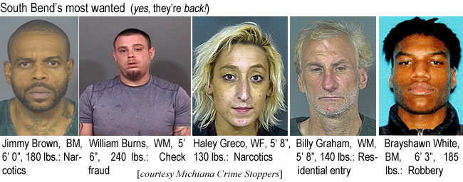 brayshan.jpg South Bend's most wanted (yes, they're back!) Jimmy Brown, BM, 6'0", 180 lbs, naarcotics; William Burns, WM, 5' 6", 240 lbs, check fraud; Haley Grreco,5'8", 130 lbs, narcotics; Billy Graham, WM, 5'8", 140 lbs, residential entry; Brayshawn White, BM, 6'3", 185 lbs, robbery (Michiana Crime Stoppers)