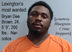 brownbry.jpg Lexington's most wanted: Bryan Dee Brown, BM, 24, 5'9", 200 lbs, narcotics (Bluegrass Crime Stoppers)