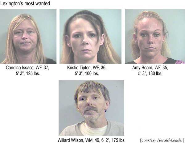 Lexington's most wanted: Candina Isaacs, WF, 37, 5'3", 125 lbs, Kristie Tipton, WF, 5' 3", 36, 100 lbs, Amy Beard, WF, 35, 5'3", 130 lbs, Willard Wilson, WM, 49, 6'2", 175 lbs (Herald-Leader)