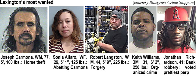 carmonaj.jpg Lexington's most wanted (Bluegrass Crime Stoppers): Joseph Carmona, WM, 77, 5', 100 lbs, horse theft; Sonia Alfaro, WF, 48, 5'1", 125 lbs, abetting Carmona; Keith Williams, BM, 6'2", 250 lbs, org. crime; Robert Langston, WM, 44, 5'9", 225 lbs, forgery; Jonathan Richardson, 41, bank robbery, voted prettiest perp