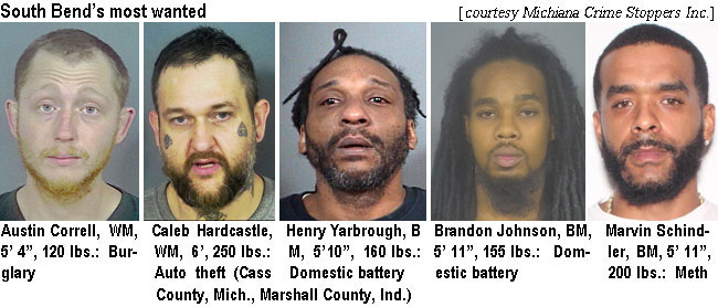 corrella.jpg South Bend's most wanted: Austin Corrrell, WM, 5'4", 120 lbs, burglary; Caleb Hardcastle, WM, 6', 250 lbs, auto theft (Cass County, Mich, Marshall County,Ind.); Henry Yarbrough, BM, 5'10", 160 lbs, domestic batt4ery, Brandon Johnson, BM, 5'11", 155 lbs, domestic battery; Marvin Schindler, WM, 5' 11", 200 lbs, meth (Michiana Crime Stoppers Inc.)