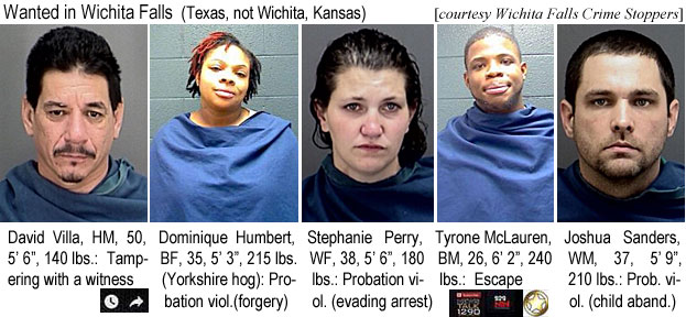 dominiqe.jpg Wanted in Wichita Falls (Texas, not Wichita, Kansas - Wichita Falls Crime Stoppers): David Villa, HF, 50, 5'6", 140 lbs tampering with a witness; Dominique Humbert, BF, 35, 5'3", 215 lbs (Yorkshire hog), probation viol. (forgery); Stephanie Perry, WF, 38, 5'6", 180 lbs, probation viol. (evading arrest); Tyrone McLauren, BM, 26, 6'2", 2240 lbs, escape; Joshua Sanders, WM, 37,  5'9", 210 lbs, prob. viol. (child aband.)