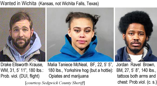 drakells.jpg Wanted in Wichita (Kansas, not Wichita Falls, Texas): Drake Ellsworth Krause, WM, 31, 5'11", 180 lbs, prob. viol. (DUI, flight); Malia Taniece McNeal, BF, 22, 5'5", 180 lbs, Yorkshire hog (but a hottie), opiates and marijuana; Jordan Ravel Brown, BM, 27, 5'8", 140 lbs, tattoos both arms and chest, prob. viol. (c.s.) (Sedgwick County Sheriff)