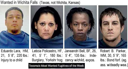 eduardol.jpg Wanted in Wichita Falls (Texas, not
              Wichita, Kansas): Eduardo Lara, HM, 21, 5'8", 220
              lbs, injury to a child; Leticia Policastro, HF, 41,
              5'1", 180 lbs, burglary, Yorkshr hog; Jandreani Bell,
              BF, 26, 5'4", 135 lbs, indecency w/child, expos.;
              Robert B. Parker, WM, 30, 5'9", 165 lbs, bond forf
              (ag. ass. w/deadly wea.) (Texoma's most wanted fugitives
              of the week)