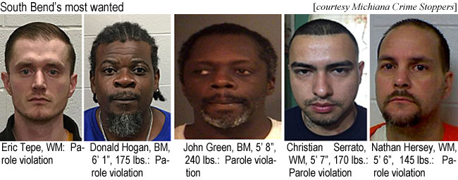 erictepe.jpg South Bend's most wanted: Eric Tepe, WM, parole violation; Donald Hogan, BM, 6'1", 175 lbs.,parole violation; John Green, BM, 5'8", 240 lbs, parole violation; Christian Serrato, WM, 5'7", 170 lbs, parole violation; Nathan Henry, WM, 5'6", 145 lbs, parole violation (Michiana Crime Stoppers)