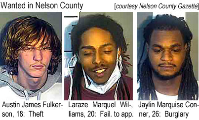 fulkerma.jpg Austin James Fulkerson, 18, theft; Laraze Marquel Williams,20, fail. to app.; Jaylin Marquise Conner, 26, burglary (Nelson County Sherff)