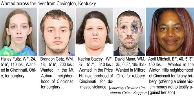 haileyfu.jpg Wanted across the river from Covington, Kentucky: Hailey Fultz, WF, 24, 5'6", 110 lbs, wanted in Cincinnati,Ohio, for burglary; Brandon Getz, WM, 18, 5'6", 200 lbs, wanted in the Mt. Auburn neighborhood of Cincinnati for burglary; Katrina Stacey, WF, 37, 5'7", 310 lbs, wanted in the Price Hill neighborhood of Cincinnati for domestic violence; David Mann, WM, 35, 6'3", 185 lbs, wanted in Milford, Ohio, for robbery; April Mitchell, BF, 48, 5'3", 150 lbs, wanted in the Winton Hills neighborhood of Cincinnati for felony bribery (offering a crime victim money not to testify against her son) (Greater Cincinnati Crime Stoppers)