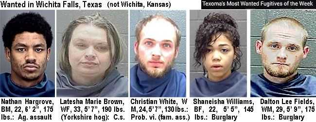 hargrove.jpg Nathan Hargrove, BM, 22, 6'2", 175 lbs, ag. assault; Latesha Marie Brown, WF, 33, 5'7", 190 lbs (Yorkshire hog), c.s.; Christian White, WM, 24, 5'7", 130 lbs, prob. vi. (fam. ass.); Shaneisha Williams, BF, 22, 5'5", 145 lbs, burglary; Dalton Lee Fields, WM, 29, 5'9", 175 lbs, burglary