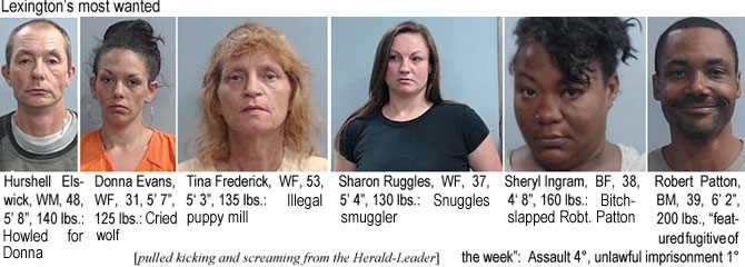 helswick.jpg Hurshell Elswick, WM, 48, 5'8", 40 lbs, howled for Donna; Donna Evans,WF, 31, 5'7", 125 lbs, Cried wolf; Tina Frederick, WF, 53, 5'3", 135 lbs, illegal puppy mill; Sharon Ruggles, WF, 37, 5'4"m 130 lbs, smuggled snuggles; Sheryl Ingram, BF, 38, 4'8", 160 lbs, bitch-slapped Robert Patton; Robert Patton, 39, 6'2", 200 lbs, featured fugitive of the week, assault 4°, unawlful imprisonment 1° (pulled kicking and screaming from the Herald-Leader)