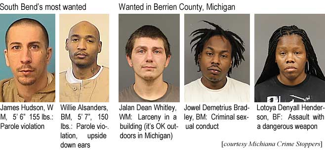 jalanwit.jpg South Bend's most wanted: James Hudson, WM, 5'6", 155 lbs, probation violaton; Willie Alsanders, BM, 5'7", 150 lbs, parole violation, upside down ears; Jalan Dean Whitney, WM, larceny in a building (it's OK outdoors in Michigan); Jowel Demetrius Bradley, BM, criminal sexual conduct; Lotoya Denyall Henderson, BF, assault with a dangerous weapon (Michiana Crime Stoppers)