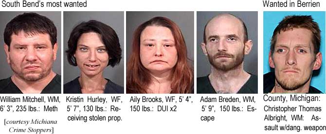 krishurl.jpg South Bend's most wanted: William Mitchell, WM, 6'3", 235 lbs, meth; Kristin Hurley, WF, 5'7", 130 lbs, receiving stolen prop.; Aily Brooks, WF, 5' 4", 150 lbs, DUI x2; Adam Brreden, WM, 5'9", 150 lbs, escape; Wanted in Berrien County, Michigan: Christopher Thomas Albright, WM, assault w/dang. weapon (Michiana Crime Stoppers)