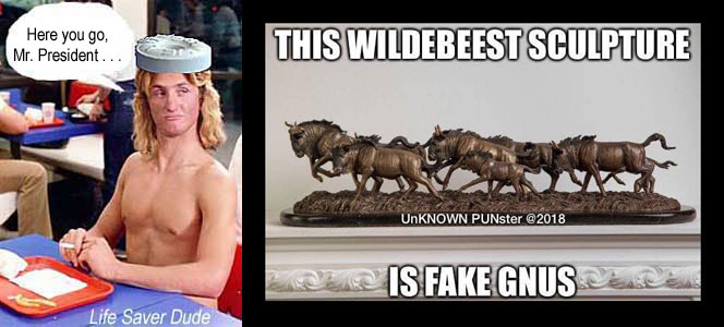 lifegnus.jpg Life Saver Dude: "Here you go, Mr. President; This wildebeest sculpture is fake gnus