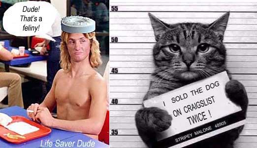 lifesv07.jpg Life Saver Dude: Dude! that's a feliny! (to mug shot of cat holding blotter: I sold the dog on Craigslist TWICE! Stripey Malone 48905)