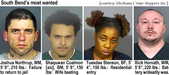 northrup.jpg South Bend's most wanted (Michiana Crime Stoppers Inc.): Joshua Northrup, WM, 5' 9", 210 lbs, failure to return to jail; Shaquwan Coalmon (sic), BM, 5'8", 150 lbs, wife beating; Tuesdae Stenson, BF, 5'4", 150 lbs, residential entry; Rich Horvath, WM, 5'6", 220 lbs, battery w/deadly wea.