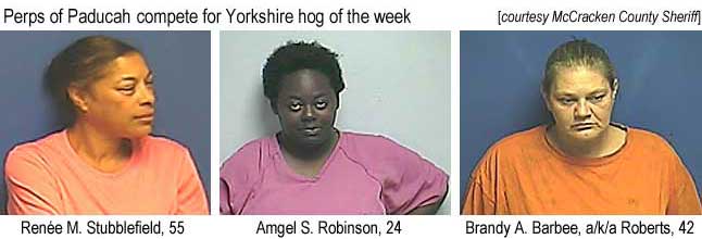 padperp2.jpg Perps of Paducah compete for Yorkshire hog of the week (McCracken County Sheriff): Renée M. Stubblefield, 55; Angel S. Robinson, 24; Brandy A. Baarbee, a/k/a Roberts, 42