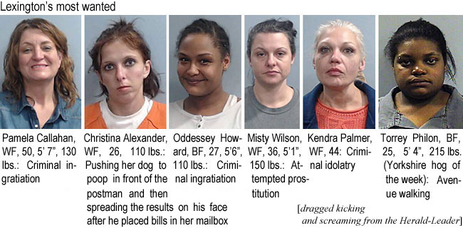 pamleca.jpg Pamela Callahan, WF, 50, 5'7", 130 lbs, criminal ingratiation; Christina Alexander, WF, 26, 110 lbs, pushing her dog to poop in front of the postman and then spreading the rresults on his face after he placed bills in her mailbox; Oddessey Howard, BF, 27, 5'6", 110 lbs, criminal ingratiation; Misty Wilson, WF, 36, 5'1", 150 lbs, attempted prostitution; Kendra Palmer, WF, 44, criminal idolatry; Torrey Philon, BF, 25, 5'4", 215 lbs (Yorkshire hog of the week), avenue walking) (dragged kicking and screaming from the Herald-Leader)