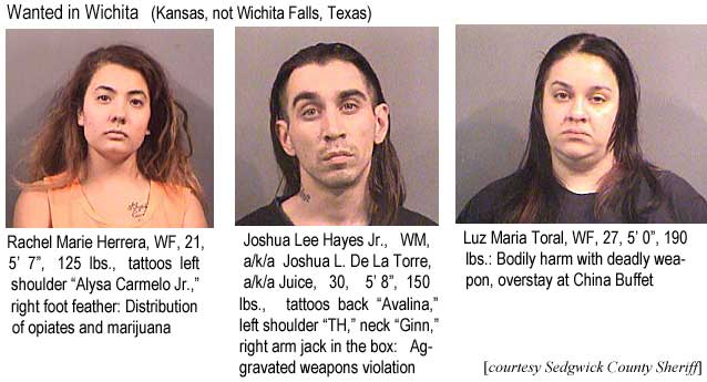 racheluz.jpg Wanted in Wichita (Kansas, not Wichita Falls, Texas): Rachel Marie Herrera, WF, 21, 5'7", 125 lbs, tattoos left shoulder "Alysa Carmelo Jr.," right foot feather, distribution of opiates and marijuana; Joshua Lee Hayes Jr., WM, a/k/a Joshua L. De La Torre a/k/a Juice, 30, 5'8", 150 lbs, tattoos back "Avalina," left shoulder "TH," neck "Ginn," right arm jack in the box, aggravated weapons violation; Luz Maria Toral, WF, 27, 5'0", 190 lbs, bodily harm with deadly weapon, overstay at China Buffet (Sedgwick County Sheriff)