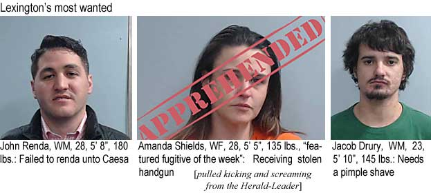 rendaman.jpg Lexington's most wanted: John Renda, WM, 28, 5'8", 180 lbs, failed to renda unto Caesa; Amanda Shields, WF, 28, 5'5", 135 lbs, featured fugitive of the week, receiving stolen handgun; Jacob Drury, WM, 23, 5'10", 145 lbs, needs a piple shave (pulled kicking and screaming from the Herald-Leader)