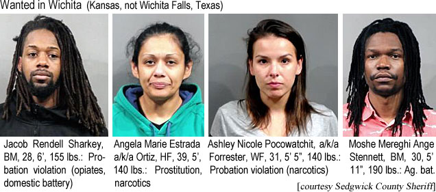 renshark.jpg Wanted in Wichita (Kansas, not Wichita Falls, Texas): Jacob Rendell Sharkey, BM, 28, 6', 155 lbs, probation violation (opiates, domestic battery); Angela Marie Estrada a/k/a Ortiz, HF, 39, 5', 140 lbs, prostitution, narcotics; Ashley Nicole Pocowatchit a/i/a Forrester, WF, 31, 5'5", 140 lbs, probation violation (narcotics; Moshe Mereghi Ange Stennett, BM, 30, 5'11", 190 lbs, ag. bat. (Sedgwick County Sheriff)