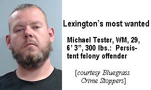 testermi.jpg Lexington's most wanted: Michael Tester, WM, 29, 6'3", 300 lbs, persistent felony offender (Bluegrass Crime Stoppers)