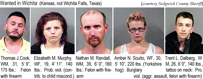 thomcook.jpg Wanted in Wichita (Kansas, not Wichita Falls, Texas) (Sedgwick County Sheriff): Thomas J. Cook, WM, 31, 5'9", 175 lbs, felon with firearm; Elizabeth M. Murphy, WF, 19, 4'11", 140 lbs, prob. viol. (contrib. to child miscond.); Nathan M. Randall, WM, 39, 6'0", 180 lbs, felon with firearm; Amber N. Scuito, WF, 30, 5'10", 220 lbs (Yorkshire hog), burglary; Trent L. Dalberg, WM, 26, 6'0", 140 lbs, tattoo on neck, pro. viol. (aggr. assault, felon with firearm) (Sedgwick County Sheriff)