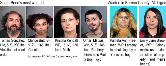 tomasgon.jpg South Bend's most wanted: Tomas Gonzalez, HM, 5'7", 200 lbs, violation of court order; Clarice Britt, BF, 5'2", 145 lbs, cocaine; Kristina Kendall, 5'6", 170 lbs, meth; Omar Matyas, 5'6", 145 lbs, robbery, thinks he's Pretty Boy Floyd; Wanted in Berrien County, Michigan: Pamela Ann Freeman, WF, larceny in a building by a Yorkshirre hog; Emily Lynn Brewer, WF, felony malicious destruction of property (and men's hearts) (Michiana Crime Stoppers)