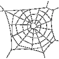 spiderweb