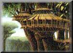 Kashyyyk tree house