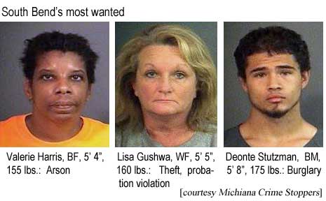 South Bend's most wanted: Valerie Harris, BF, 5'4", 155 lbs, arson; Lisa Gushwa, WF, 5'5", 160 lbs, Theft, probation violation; Deonte Stutzman, BM, 5'8", 175 lbs, burglary (Michiana Crime Stoppers)
