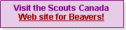 Text Box: Visit the Scouts Canada Web site for Beavers!