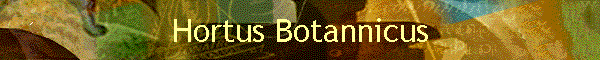 Hortus Botannicus