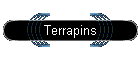 Terrapins