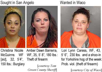 ambchris.jpg Sought in SanAngelo: Christina Nicole McGuirre, WF (sic), 32, 5'4", 150 lbs, burglary; Amber Dawn Barrerra, WF, 35, 5'8", 180 lbs, theft of firearm (Tom Green County Sheriff); Wanted in Waco: Lori Lynn Caress, WF, 43, 5'6", 230 lbs and a shoo-in for Yorkshire hog of the week, prob. viol. (theft of firearm) (City of Waco)